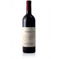 Barbera d'Alba Vignota Conterno Fantino 2018