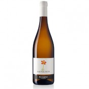 Sauvignon Rodaro 2021