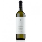 Vermentino Ramoino 2024