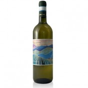 Verdicchio dei Castelli di Jesi Collinetto Zannotti  2023