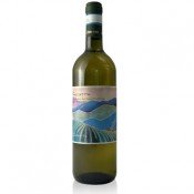 Verdicchio dei Castelli di Jesi Collinetto Zannotti  2023