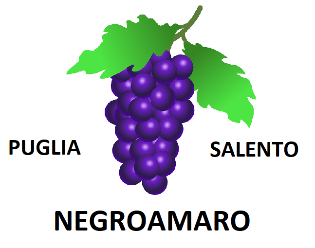 Il vitigno Negroamaro: tutto quello che devi sapere 