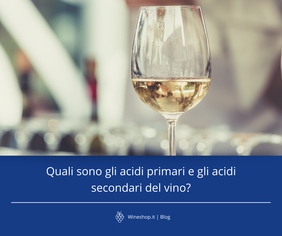 Quali sono gli acidi primari e gli acidi secondari del vino?
