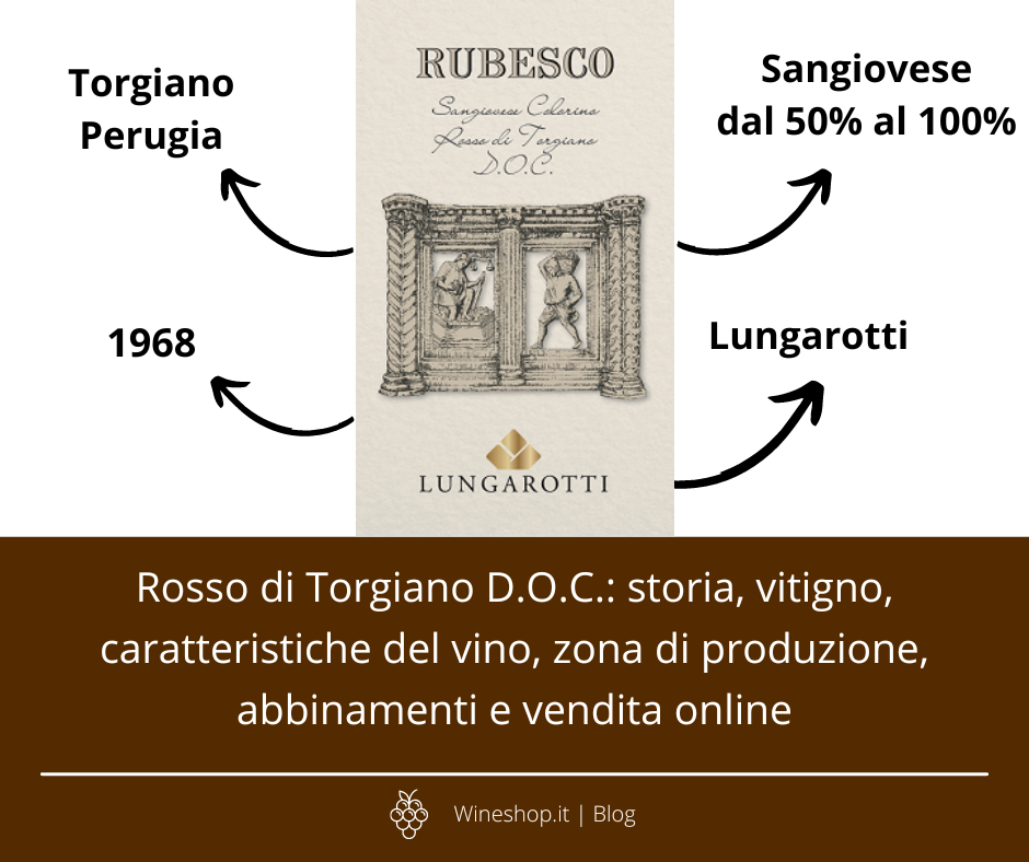 Rosso di Torgiano D.O.C.: storia, vitigno, caratteristiche del vino, zona di produzione, abbinamenti e vendita online