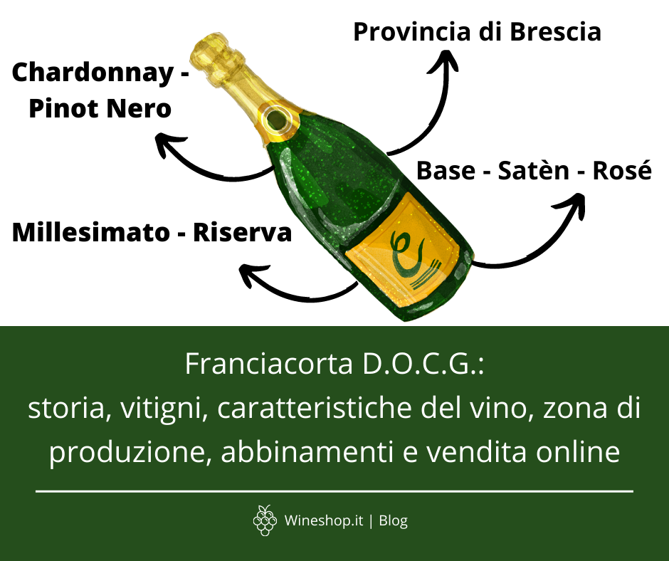Franciacorta D.O.C.G.: storia, vitigni, caratteristiche del vino, zona di produzione, abbinamenti e vendita online
