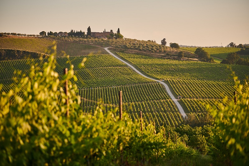 Forbes celebra l’Italia del vino