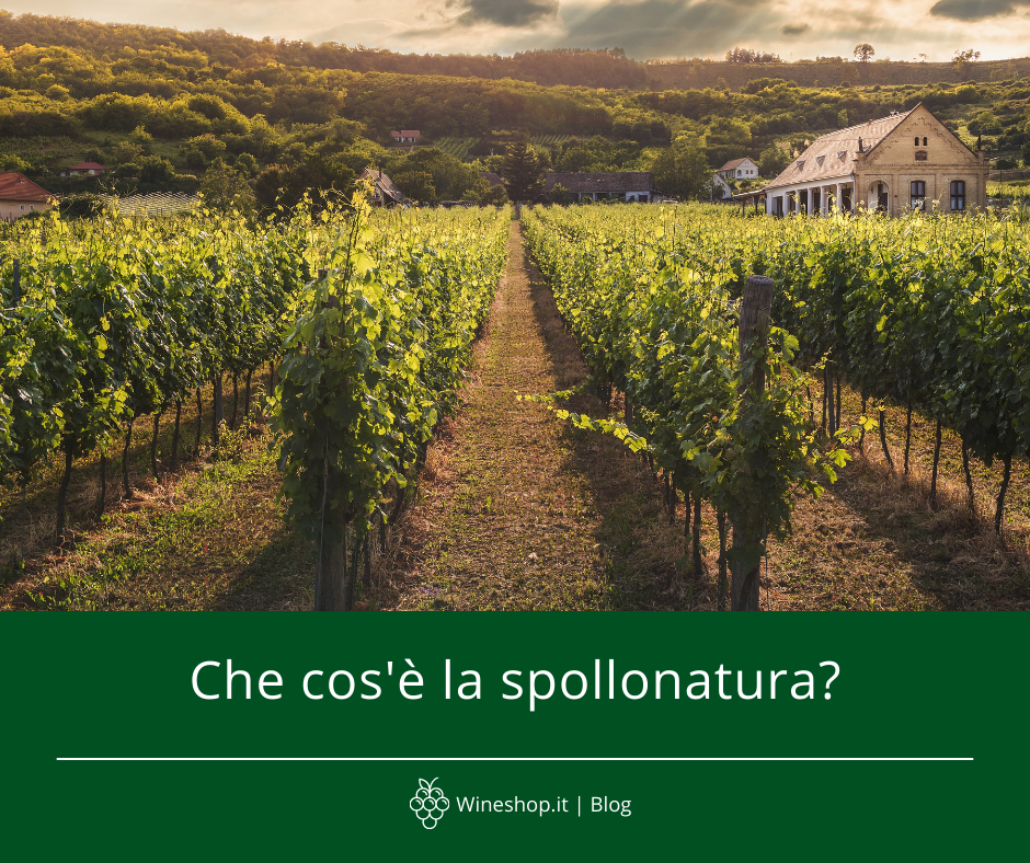 Che cos'è la spollonatura?