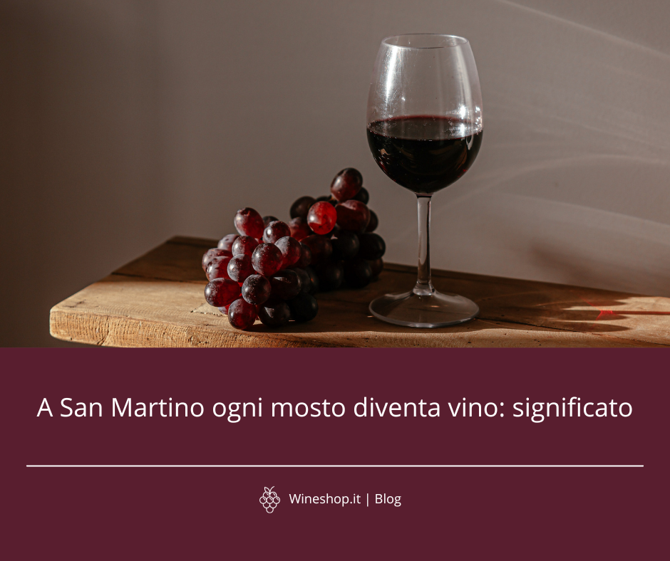 A San Martino ogni mosto diventa vino: significato