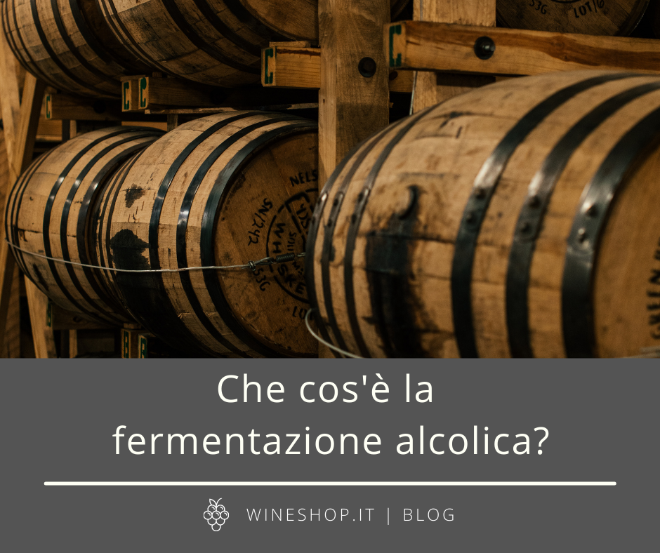 Che cos'è la fermentazione alcolica?