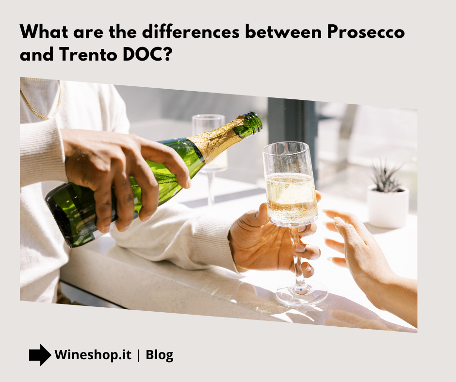 What are the differences between Prosecco and Trento DOC?