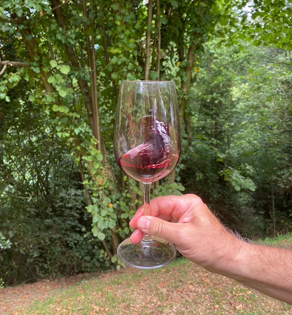 Far roteare il vino nel bicchiere: perché, quando e come