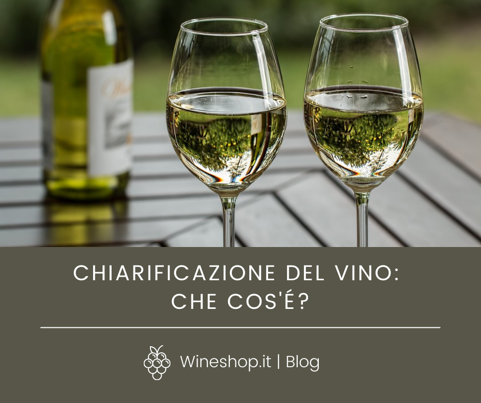 Chiarificazione del vino: che cos'è?