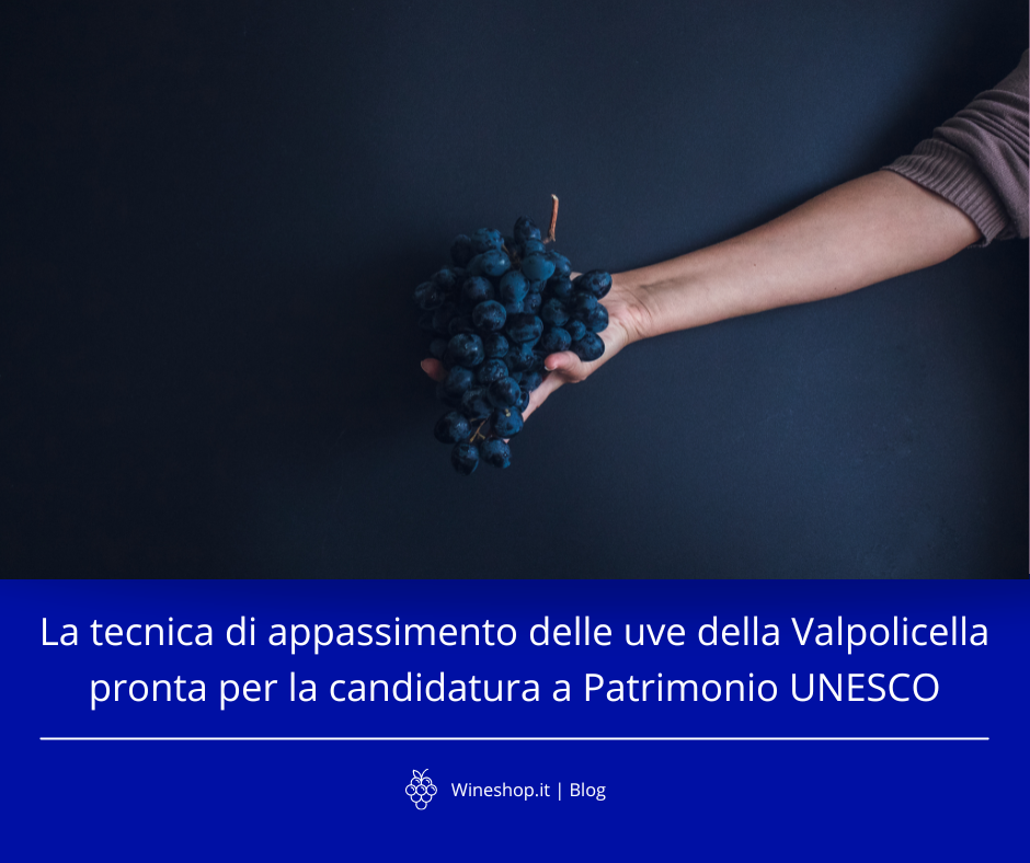 La tecnica di appassimento delle uve della Valpolicella pronta per la candidatura a Patrimonio immateriale dell'UNESCO
