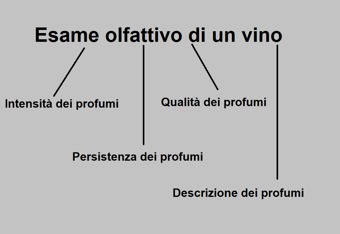 Intensità, Persistenza, Qualità e Descrizione dei Profumi del Vino