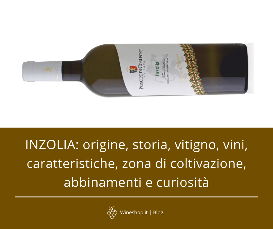 Inzolia: origine, storia, vitigno, vini, caratteristiche, zona di coltivazione, abbinamenti e curiosità