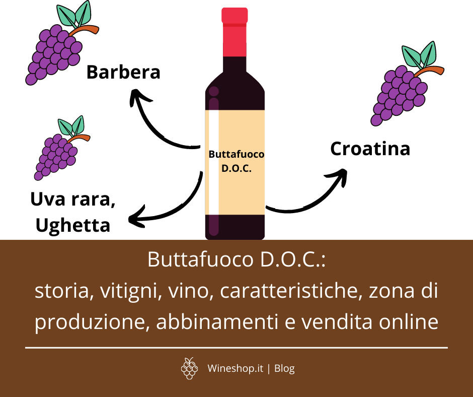 Buttafuoco dell'Oltrepò Pavese D.O.C.: storia, vitigni, vino, caratteristiche, zona di produzione, abbinamenti e vendita online
