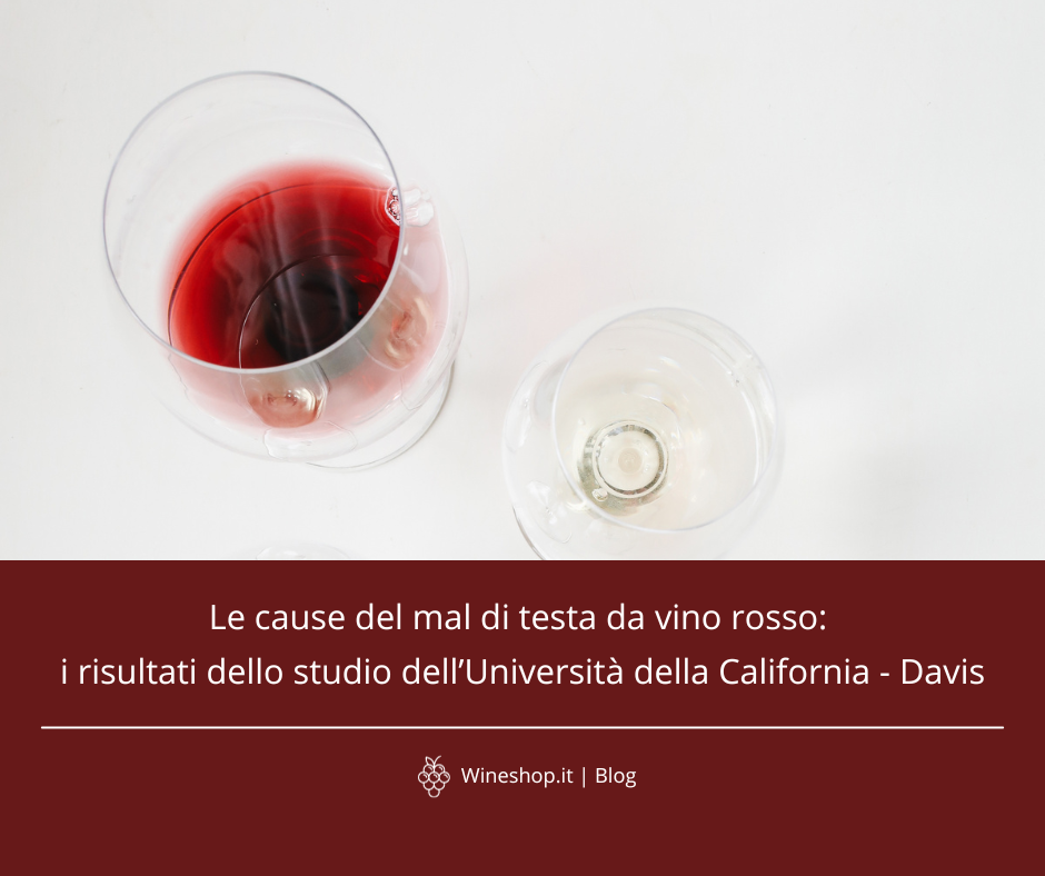 Le cause del mal di testa da vino rosso: i risultati dello studio dell’Università della California - Davis