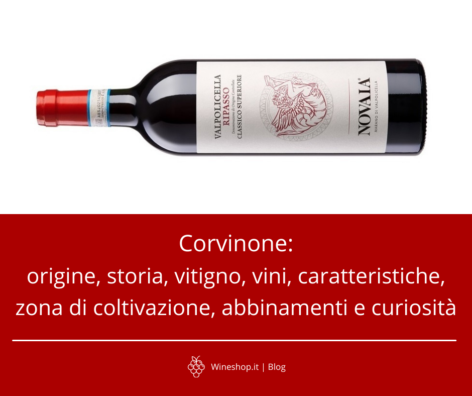 Corvinone: origine, storia, vitigno, vini, caratteristiche, zona di coltivazione, abbinamenti e curiosità 