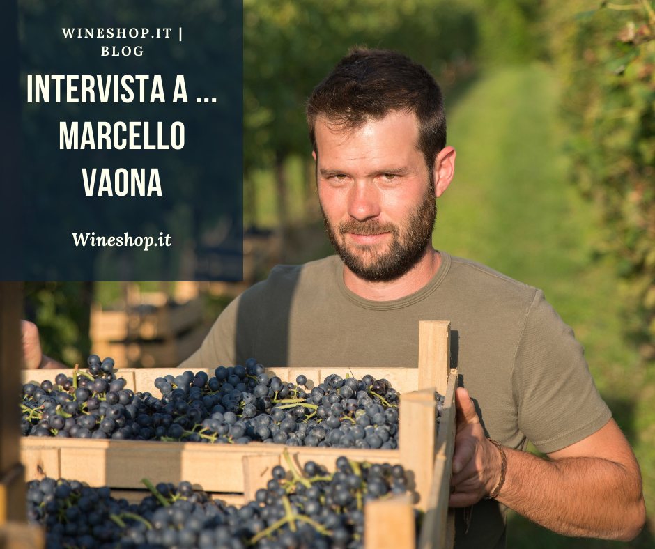 I grandi produttori di vino italiano: intervista a Marcello Vaona, azienda agricola Novaia