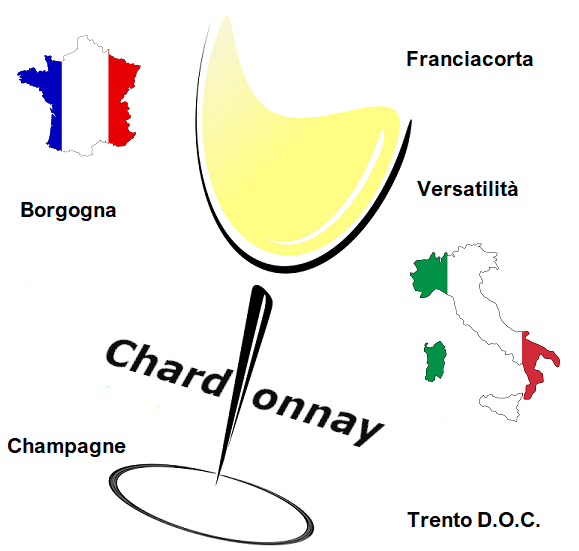 10 curiosità sullo Chardonnay 