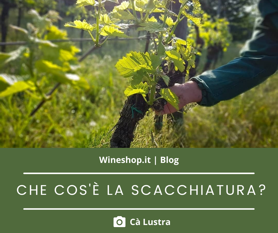 Che cos’è la scacchiatura?
