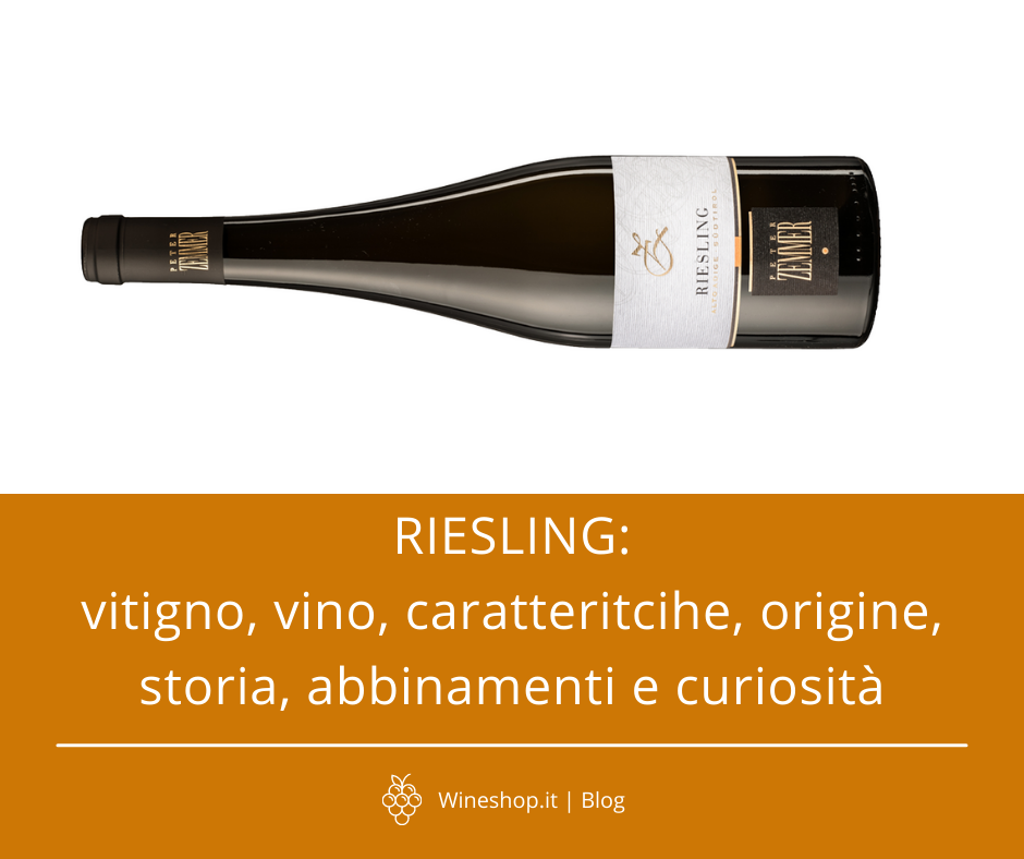 Riesling: vitigno, vino, caratteristiche, origine, storia, abbinamenti e curiosità
