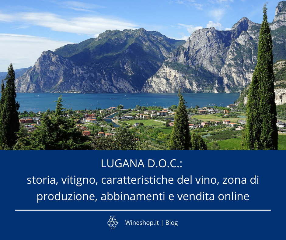 Lugana D.O.C.: storia, vitigno, caratteristiche del vino, zona di produzione, abbinamenti e vendita online