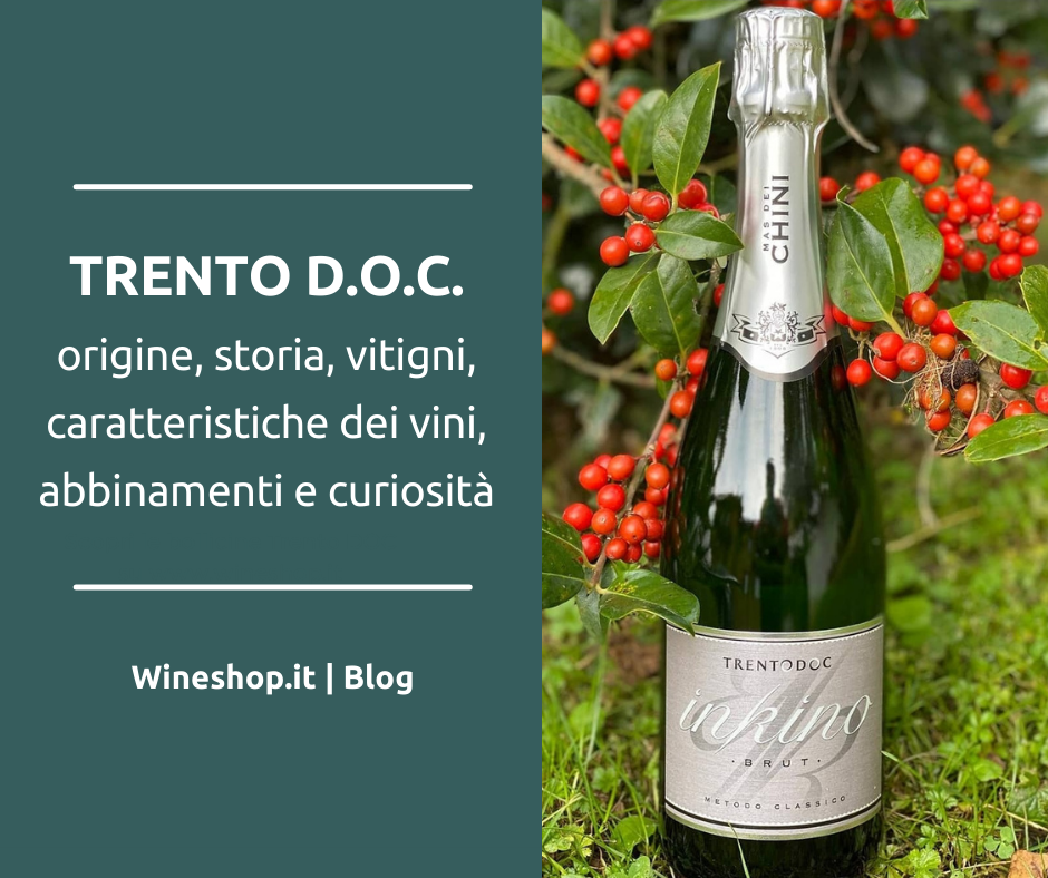 Trento D.O.C.: origine, storia, vitigni, caratteristiche dei vini, abbinamenti e curiosità