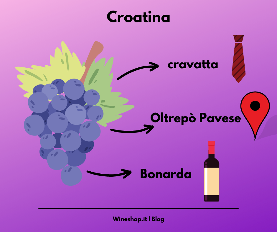 Croatina: storia, zona di produzione, caratteristiche del vitigno e dei vini, abbinamenti e vendita online