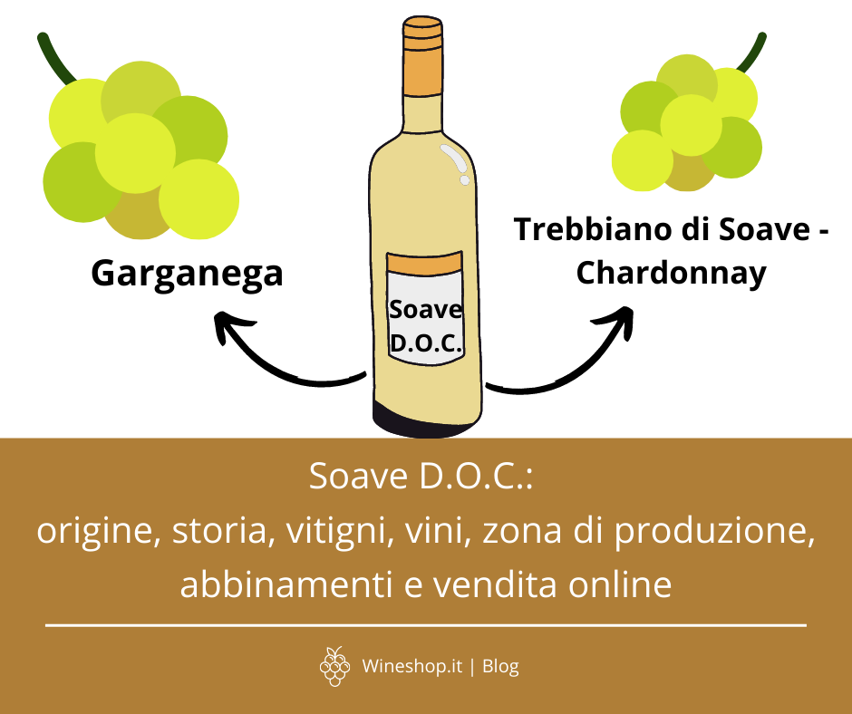 Soave D.O.C.: origine, storia, vitigni, vini, zona di produzione, abbinamenti e vendita online