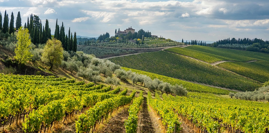 Quali sono le migliori località italiane per gli appassionati di vino e cibo?
