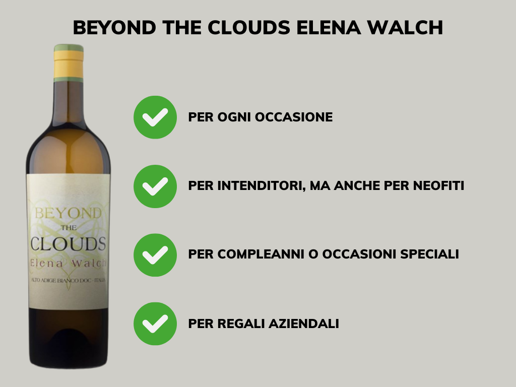 Beyond the Clouds Elena Walch