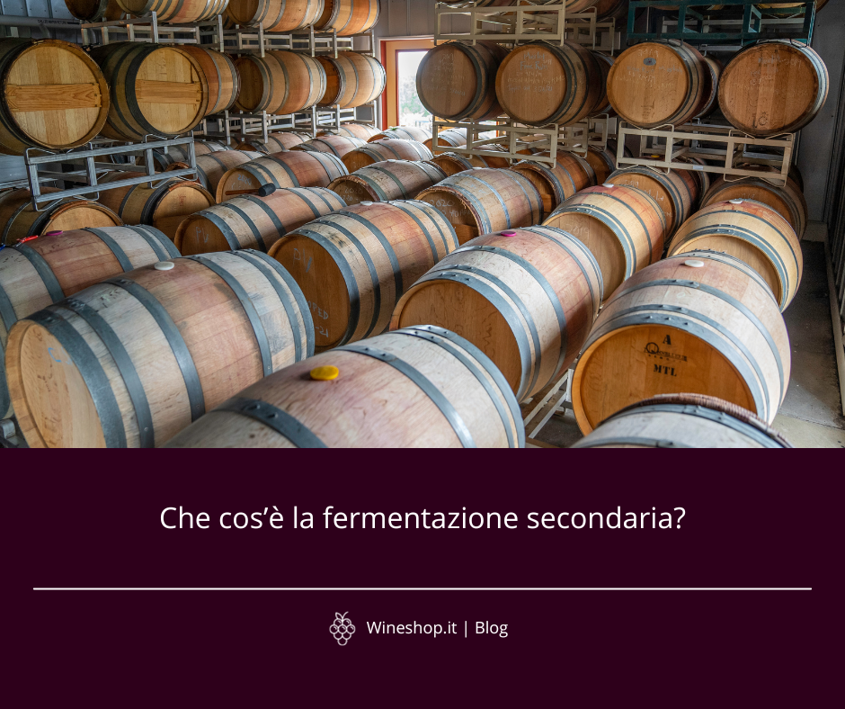 Che cos'è la fermentazione secondaria?