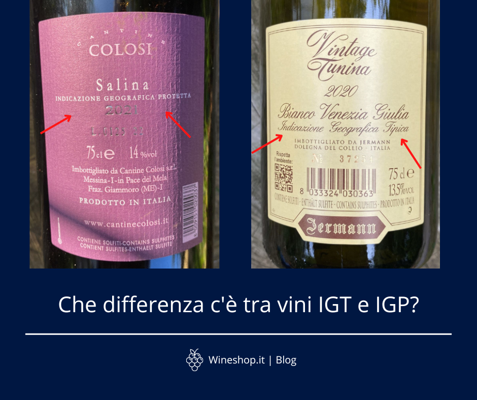 Che differenza c'è tra vini IGT e IGP?
