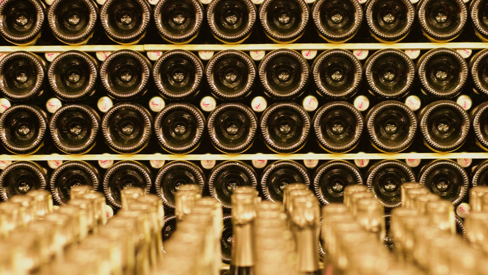 Notizie sul vino: storica ed eccellente, la vendemmia 2024 a Montalcino