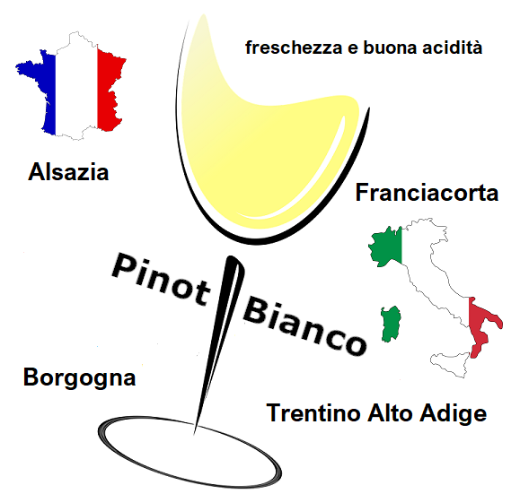 10 curiosità sul Pinot Bianco