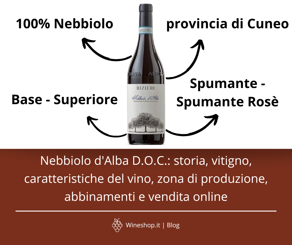 Nebbiolo d'Alba D.O.C.: storia, vitigno, caratteristiche del vino, zona di produzione, abbinamenti e vendita online