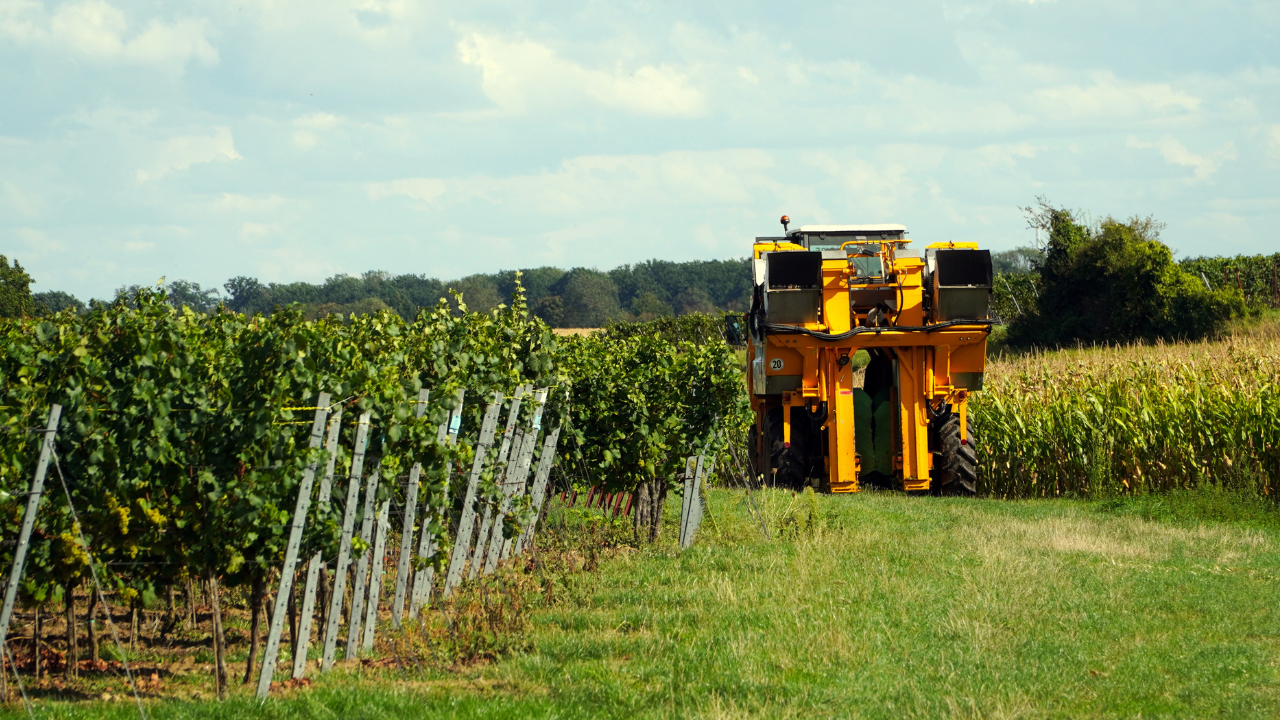 Notizie sul vino: Vino italiano in frenata nei mercati extra-UE, -9% per l’export nei primi 3 mesi del 2025 | Blog