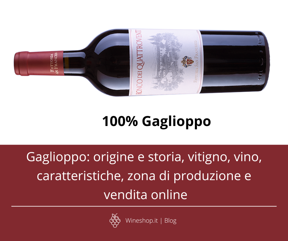 Gaglioppo: origine e storia, vitigno, vino, caratteristiche, zona di produzione e vendita online