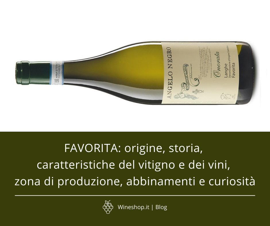 Favorita: origine, storia, caratteristiche del vitigno e dei vini, zona di produzione, abbinamenti e curiosità