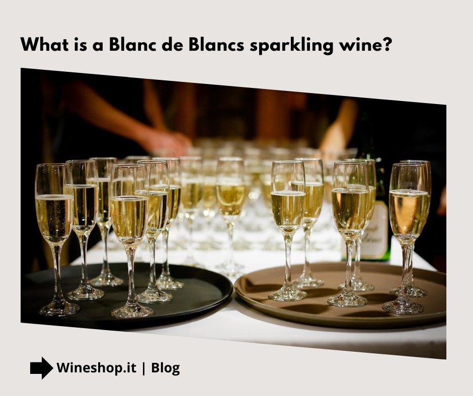 What is a Blanc de Blancs sparkling wine?
