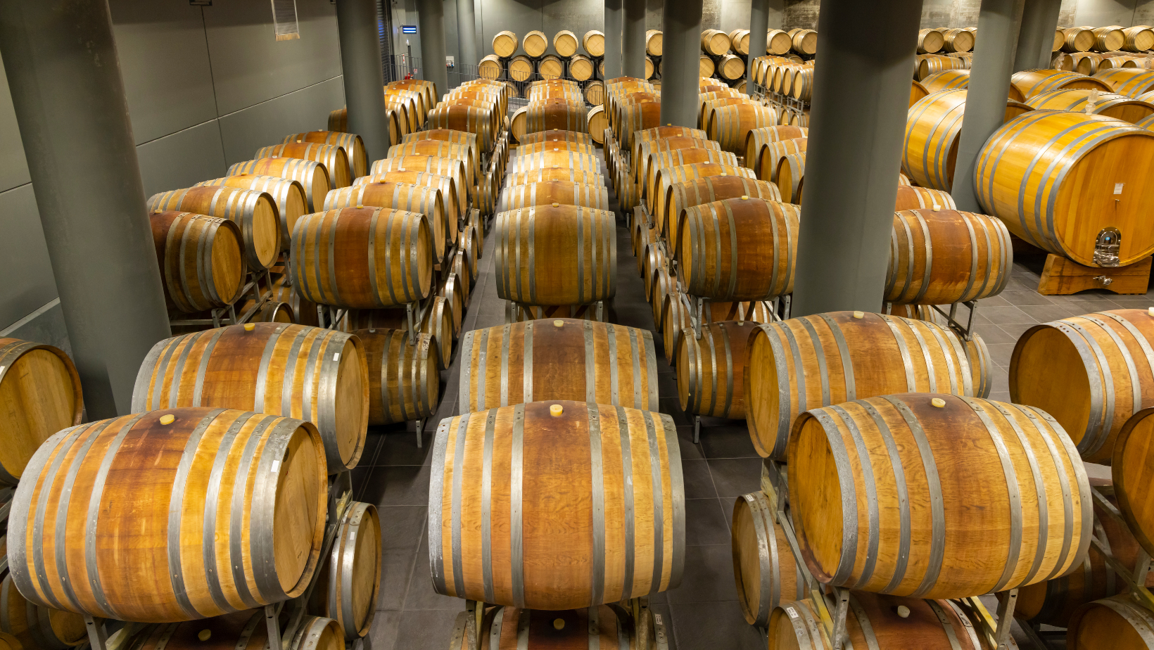 Le 5 notizie sul vino della settimana: la vendemmia 2024 in Italia, Francia e Spagna