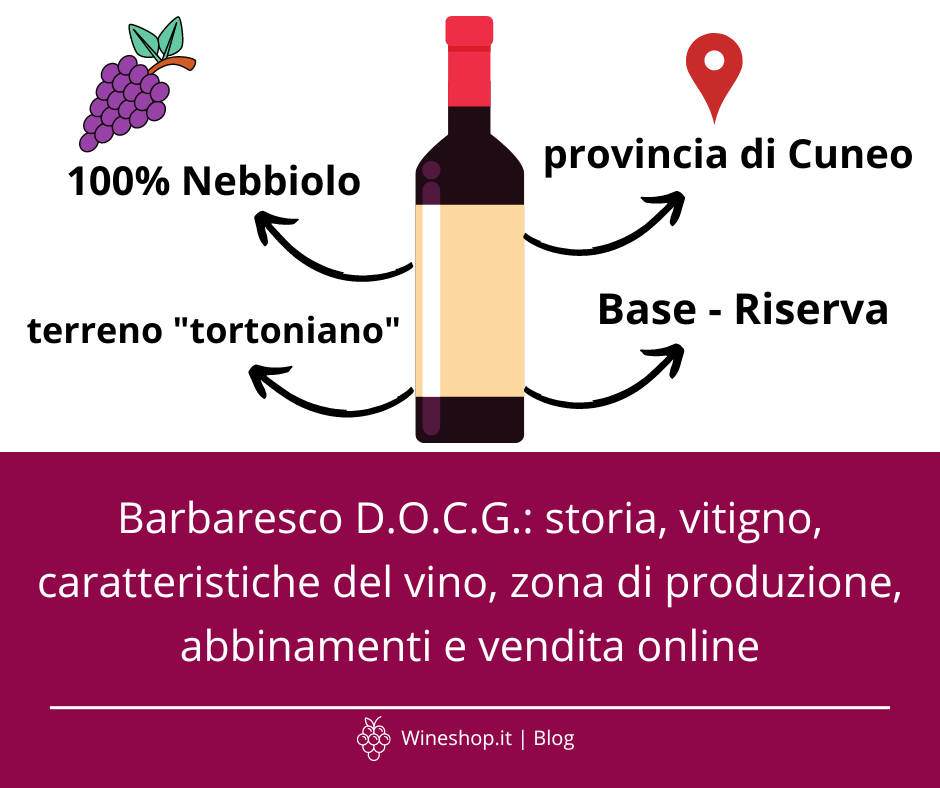 Barbaresco D.O.C.G.: storia, vitigno, caratteristiche del vino, zona di produzione, abbinamenti e vendita online