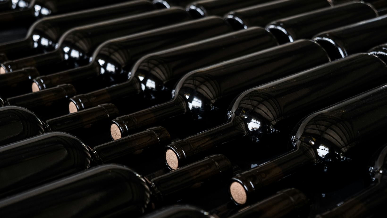 Notizie sul vino: dal primo vigneto della città di Firenza alla proroga delle nuova normativa per le etichette di vino, passando per le prime bottiglie di Barolo con tappo a vite