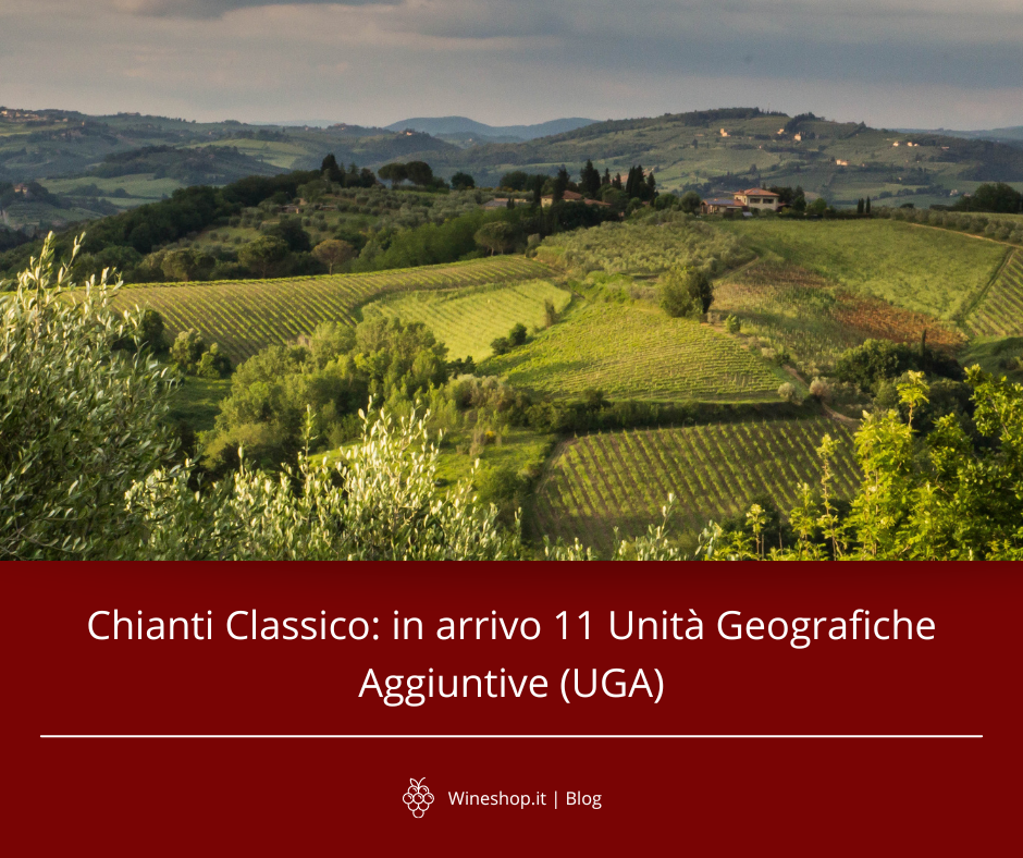 Chianti Classico: in arrivo 11 Unità Geografiche Aggiuntive (UGA)