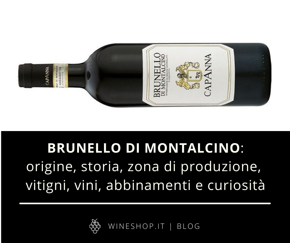 Brunello di Montalcino: storia, vitigni, zona di produzione, vini, abbinamenti e curiosità