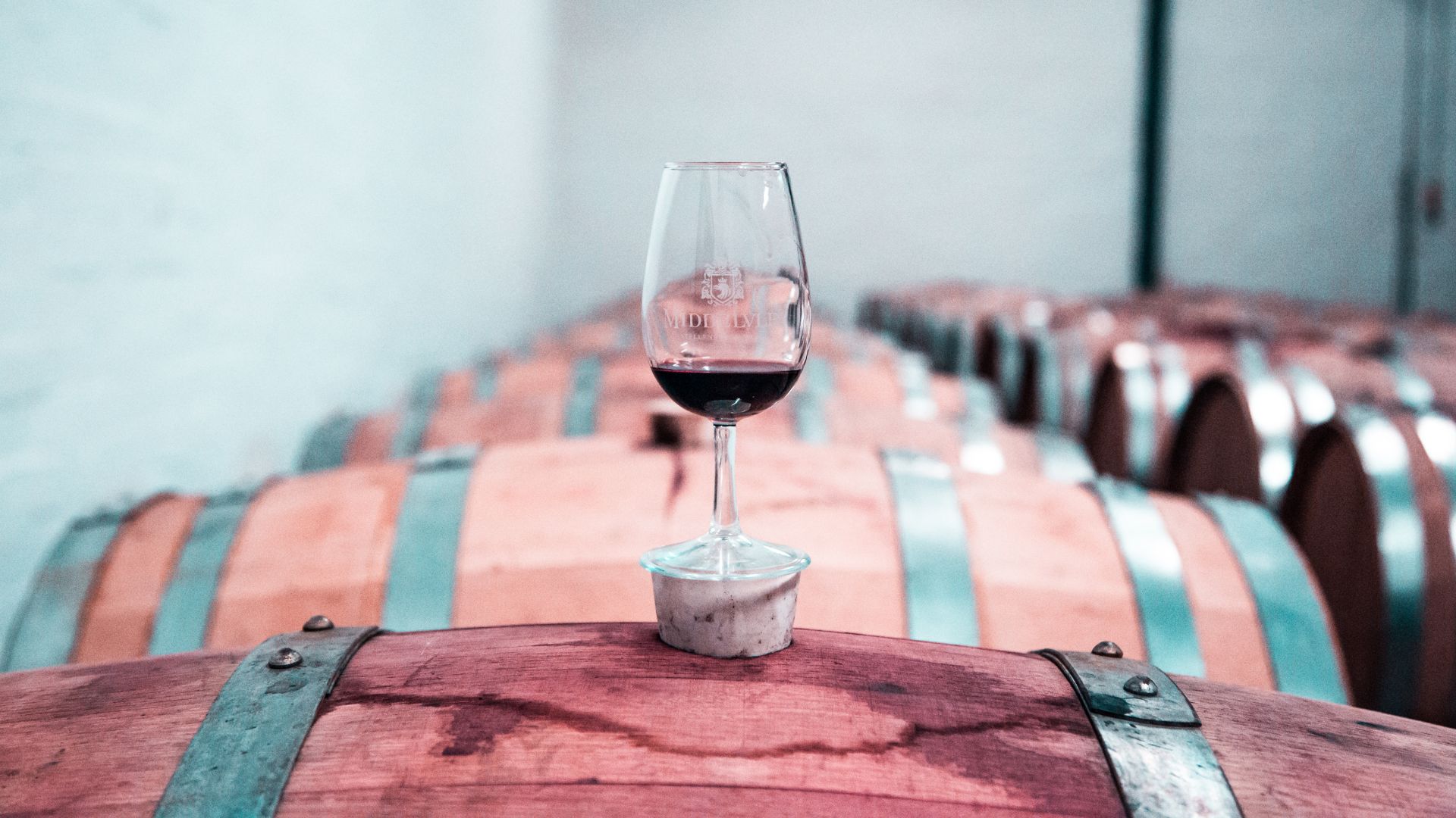 Notizie sul vino: presentata la bozza del decreto sui vini dealcolizzati