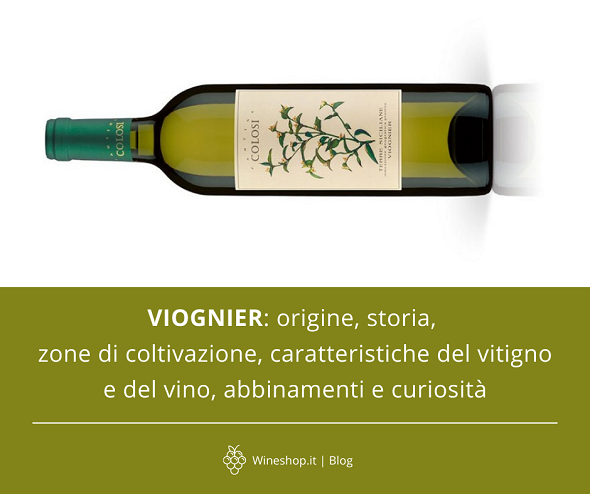 Viognier: origine, storia, zone di coltivazione, caratteristiche del vitigno e del vino, abbinamenti e curiosità