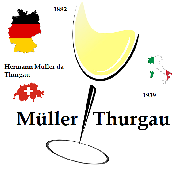 10 curiosità sul Müller Thurgau 