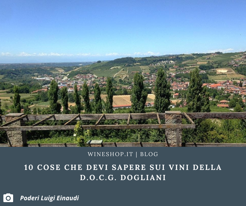 10 cose che devi sapere sui vini della D.O.C.G. Dogliani 